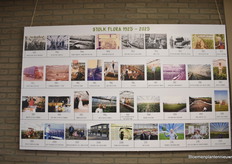 This year, Stolk Flora is celebrating 100 years. 