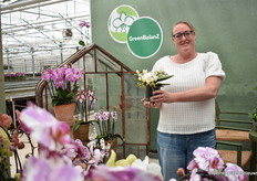 Eileen van Wijnen of GreenBalanZ with Wildz. "It's a nice table top model with 25-40 flowers," she says.