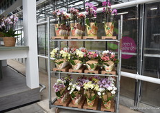 Products go to countries across Europe and even beyond.