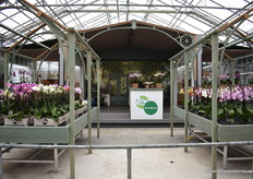 This year marks GreenBalanZ's 75th anniversary