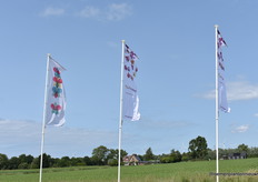The flags of Phalaenova and those of the Orchid Inspiration Days fly in the wind.