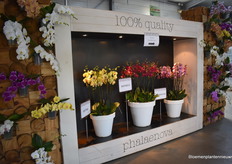 Upon entering, a colourful welcome.