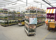 Between the carts is the presentation.