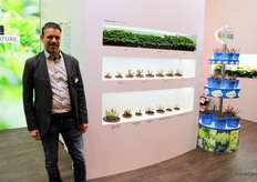 Frank Wallenhorst of Kotterheinrich Hortensienkulturen