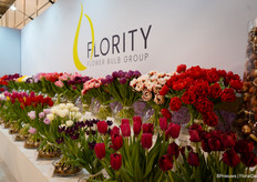 Tulips from Flority Flower Bulb Group