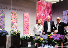 Welcome to Hydrangea Breeders Association
