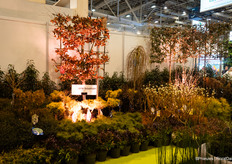 And an outdoor garden designed by Romeo with plants by Arie Bouman garden plants