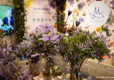 Say clematis, you say Marginpar