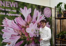 Tim Sonneveld of Hoogeveen Plants with the first true pink Agapanthus