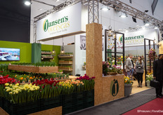 Tulips plenty at Jansen's Overseas