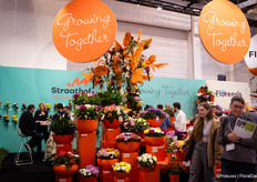 Crowds at Straathof Young Plants' stand