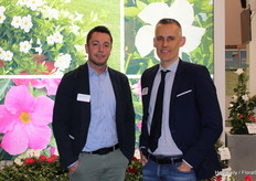 Christian Thoma the representative for (Padana) in Germany together with Mario Rigatti from Italy. There were many beautiful novelties on show including this Dipladenia.