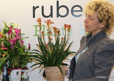 Full of enthusiasm, Laura Righetti (Floricultura Bonato) shows off this beautiful Anigozanthos. Unfortunately, we can't take a picture of all the beauty.