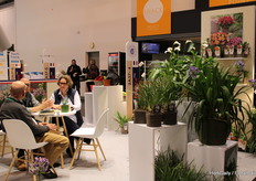 Tour de France (Hortitrace) nice place to catch up.