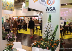 We took another quick look at (ASA)