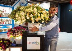 Cock van der Hoorn of Coloriginz with Monarch Flowers' Ranunculus Butterfly