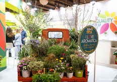 Riviera Quality with fragrances from Liguria