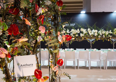 Anthura also had a share at the Wedding Flowers pavilion