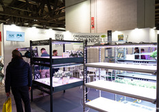 Vertical Farming at Organizzazione Orlandelli