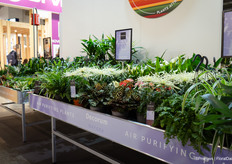 Garden centre tables from Decorum