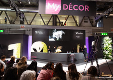 On the MyDecor Stage, a variety of shows take place