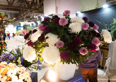 Chrysanthemums from Zentoo