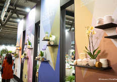 Besides flowers and plants, plenty of inspiration for value-added and other interior stuff