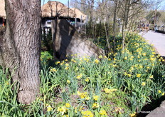 Spring was all around in the park