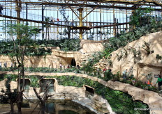 It is even possible to sleep in the tropical greenhouse. Below, you can see the hotel rooms incorporated into the rocks