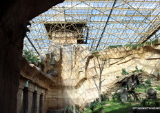 Behind this waterfall is an elevator that allows employees to reach the roof of the greenhouse