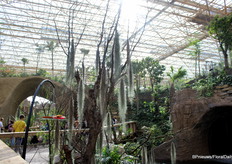 The greenhouse also has a butterfly garden