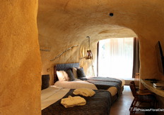 One of the bedrooms in the greenhouse