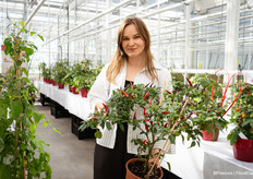Viktoriia Taranenko of Prudac shows off this new pepper plant