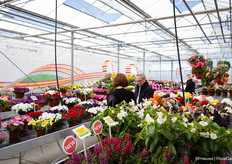 And a greenhouse full of colour