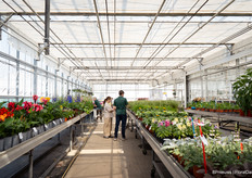 A peek in the greenhouse