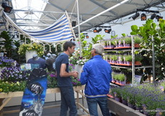 Vistors talking at Florensis.