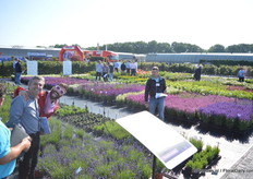 The trials location of Florensis.