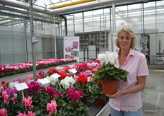 Carolien Klein of Varinova holding the Magnia white 17cm. The Magnia series consists of six colors and is suitable for 14-17 cm pot sizes. It has large flowers and green leaves.