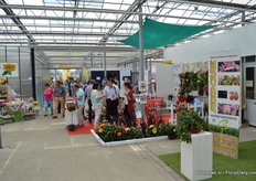 Trial location Peter van der Plas.