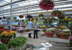 FlowerTrials Location Peter van der Plas.