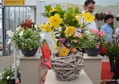 The Opale of DHM. In 2011 it was awarded with the best innovation at the IPM.