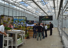 FlowerTrials location at Peter van der Plas.