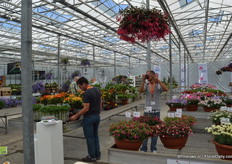 Visitor making pictures of the varieties of Cohen.