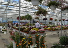 Flower Trials location at Peter van der Plas.