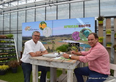 Hans Bentvelsen and Arno Treuren of African Roots.