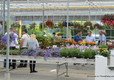 FlowerTrials location Peter van der Plas.