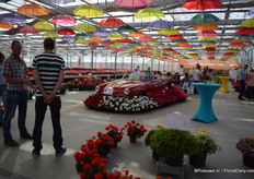 The new pelargonium varieties of P. v.d. Haak around the Porsche; five new varieties: Paula, Eva, Kasech en Emma.