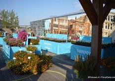 The Suntory Collection is part of the assortment of Moerheim