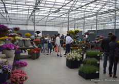 The presentation of Pan American Seeds