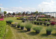 The garden of Royal van Zanten